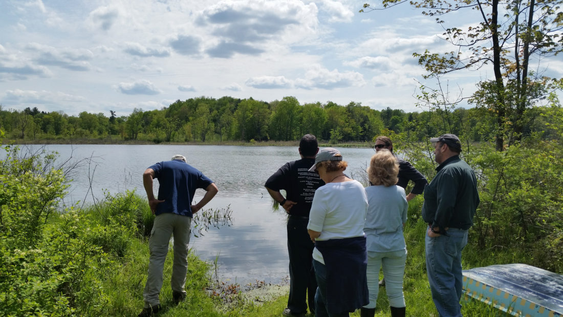Cassadaga Lake Nature Park takes shape News, Sports, Jobs Observer Today